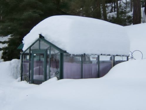 Greenhouse in snow (3)-1
