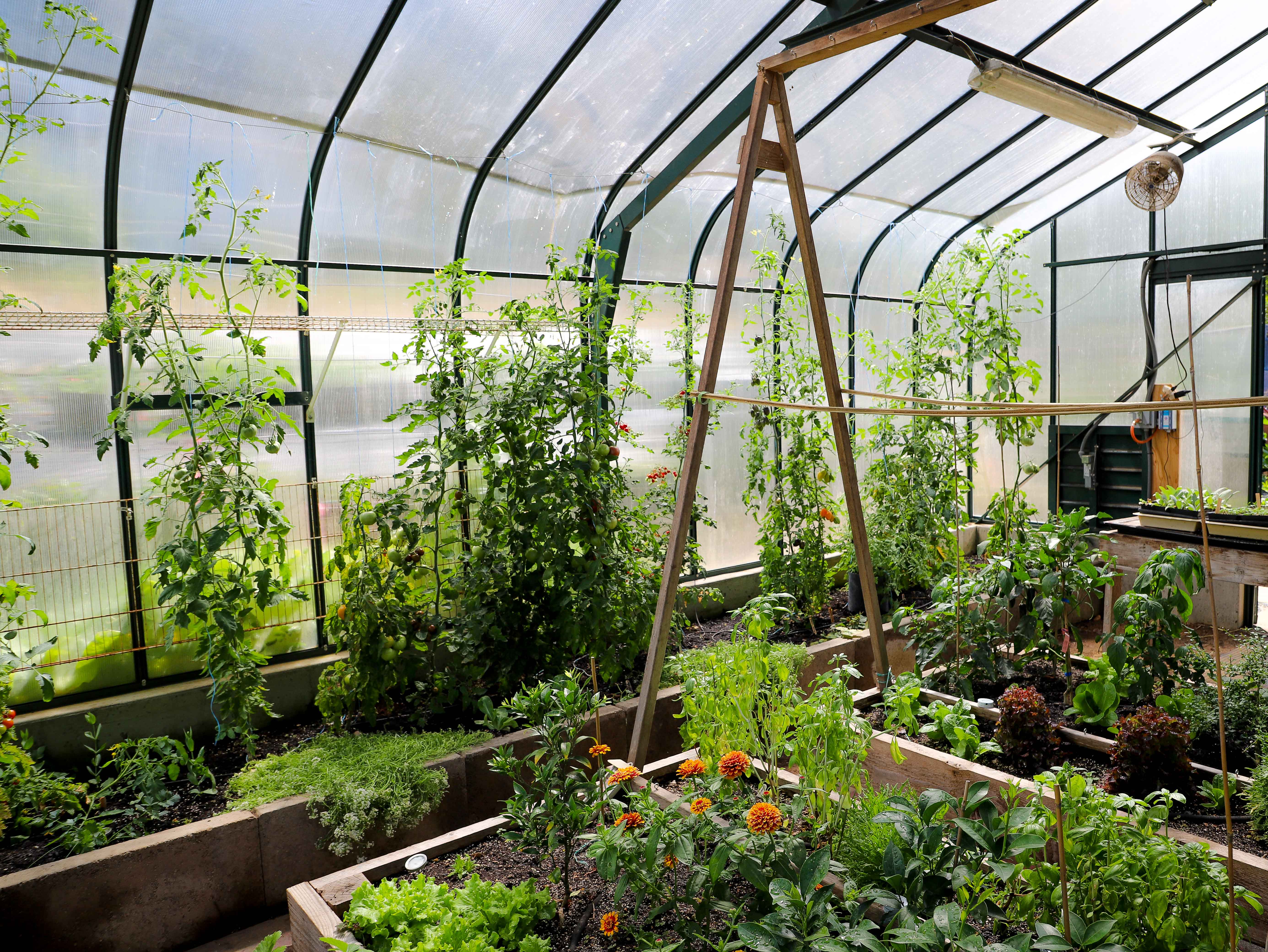 Free Backyard Greenhouse Catalog