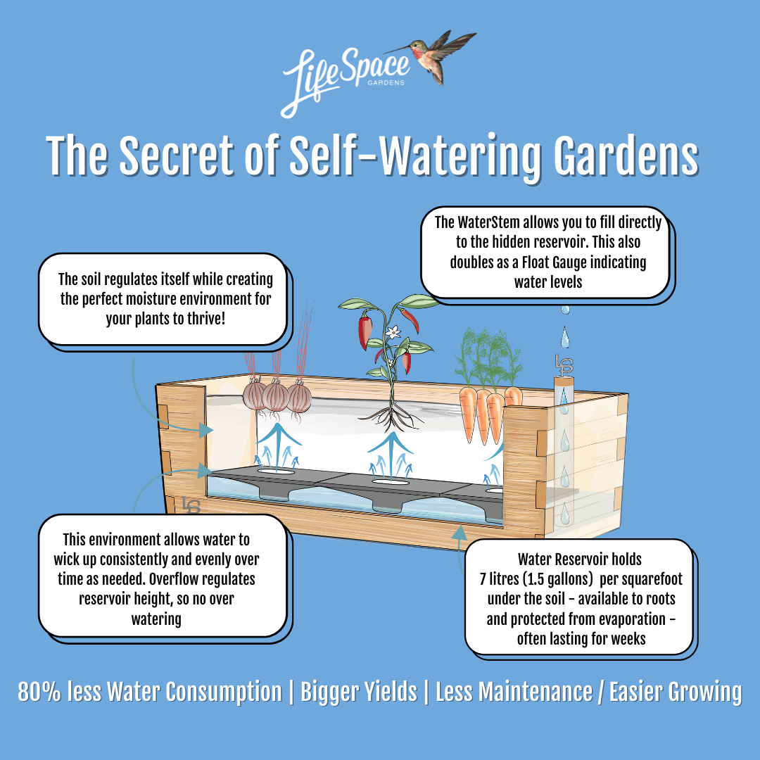 Self-Watering Explanation(1)-1