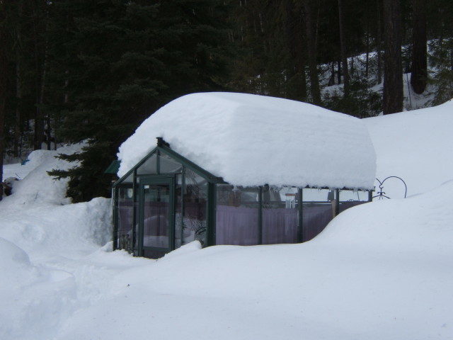 snowy greenhouse!-1